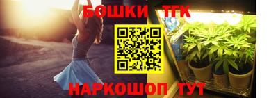 шишки Заводоуковск