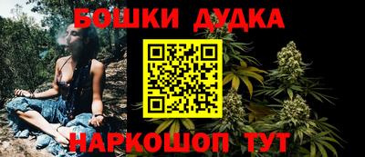 шишки Заводоуковск