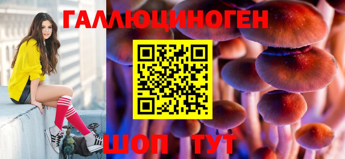 Луга  Галлюциногенные грибы прущие грибы  Вход с VPN 
