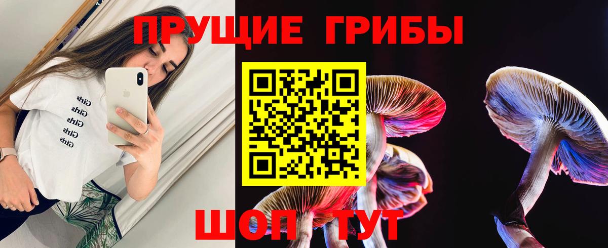 Галлюциногенные грибы мухоморы Луга